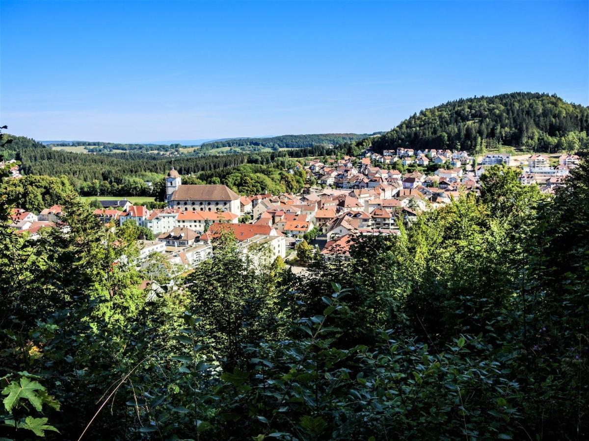 Gite Des Bouleaux Maîche Exterior foto
